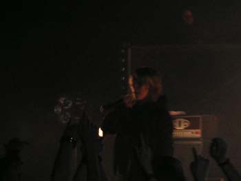 guano_apes__16_