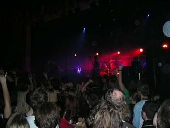 guano_apes__33_