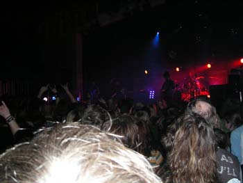 guano_apes__34_