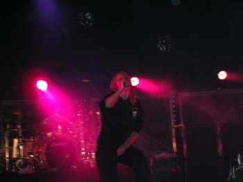 guano_apes__38_