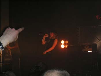 guano_apes__50_