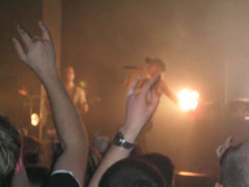 guano_apes__52_