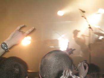 guano_apes__53_