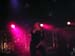 guano_apes__38_