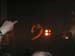 guano_apes__50_
